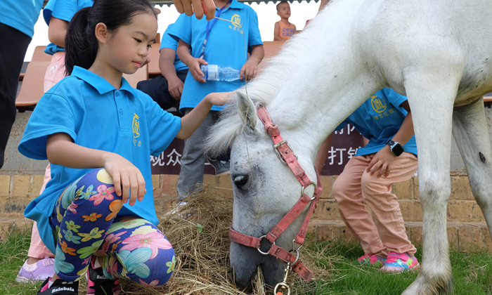 700 11體驗喂馬.jpg