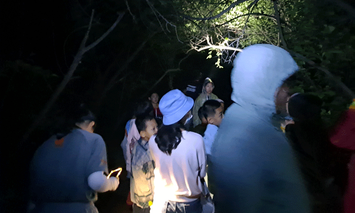 夜晚出來觀察萬物