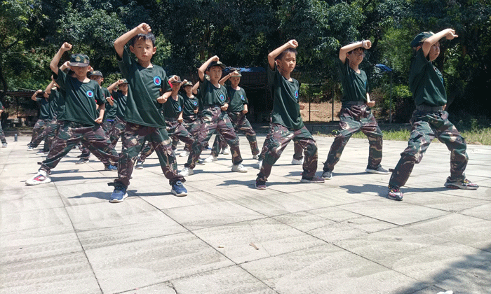 寶雞小學(xué)生軍事夏令營(yíng).gif