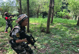“叢林野戰(zhàn)軍”
