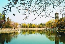 回憶北京清北夏令營2021哪個(gè)活動(dòng)招生人數(shù)多！