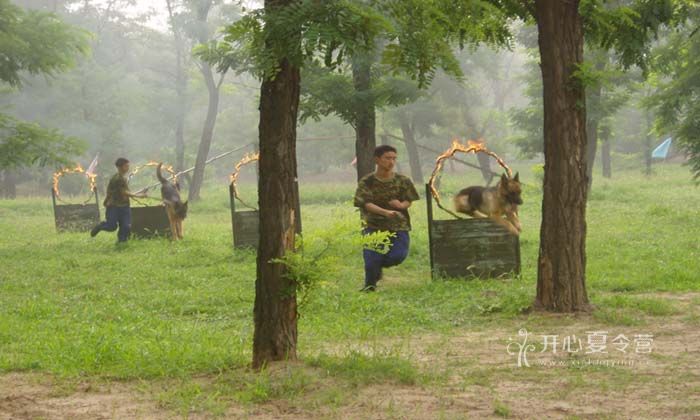 北京中學(xué)生軍事CS夏令營多少錢