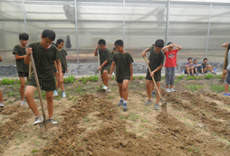 孩子如何在快樂中成長——北京青少年軍事夏令營幫助您