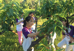 青青部落戶外拓展夏令營能讓孩子達(dá)到怎樣的效果