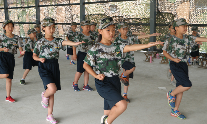 北京小學(xué)生夏令營