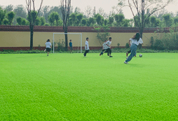 這種學生要參加北京學能夏令營！