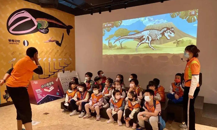 了解森林的發(fā)展階段