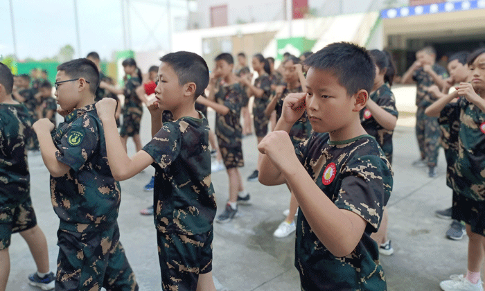 軍體拳學習