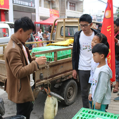 參加畢節(jié)夏令營體驗最真實的軍營生活