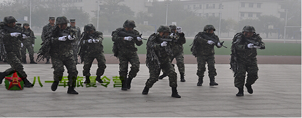 28天軍事特種兵