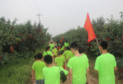 體驗果園