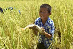 留守兒童夏令營(yíng)讓青少年知恩、感恩！