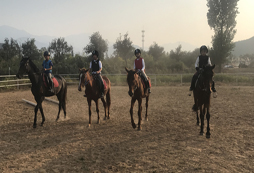 承德青少年夏令營馬兒特殊狀況