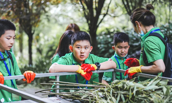 成都小學生夏令營多少錢