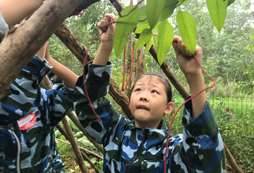 成都哪家夏令營(yíng)比較好
