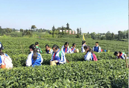 成都國學(xué)夏令營課程有哪些活動(dòng)內(nèi)容？