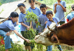 中小學(xué)生參加吃苦夏令營需要多少錢？