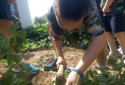 鄉(xiāng)村變形記夏令營的安全保障怎么樣？