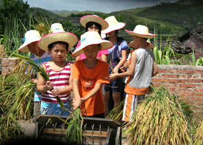 暑假農(nóng)村生活體驗夏令營推薦