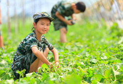 赤子特訓(xùn)軍事夏令營(yíng)值得孩子去參加嗎？