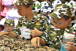 城口縣有哪些地方有夏令營(yíng)?