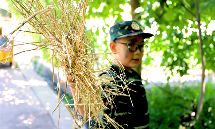 信號(hào)旗軍事夏令營(yíng)