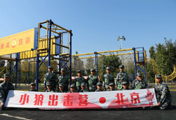 小狼出擊營(yíng)