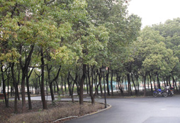 中加楓華國際學(xué)校教育基地