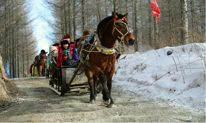 如何選擇可靠的東北滑雪營(yíng)？