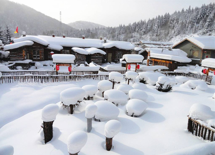 這個(gè)冬天，東北滑雪營(yíng)等你來挑戰(zhàn)！