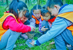 敦煌小學(xué)生研學(xué)夏令營(yíng)如何做好安全保障？