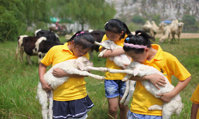 兒童夏令營(yíng)好不好