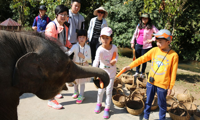兒童夏令營價(jià)格