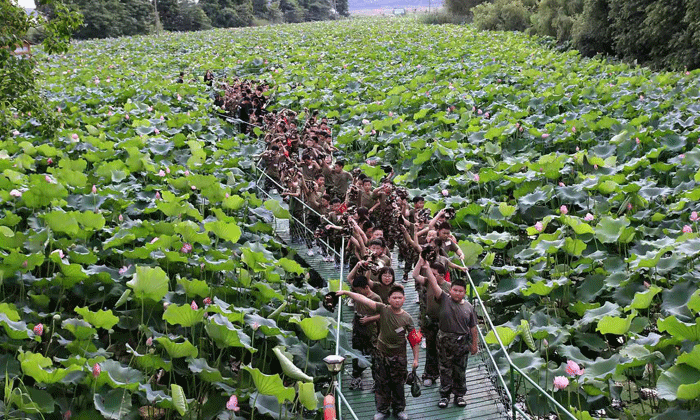 5天兒童研學(xué)夏令營(yíng)好不好