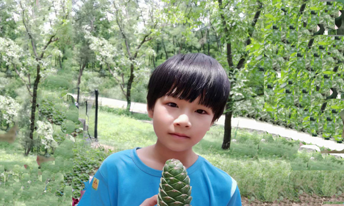 熱愛(ài)自然
