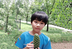 熱愛(ài)自然