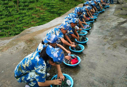 洗衣