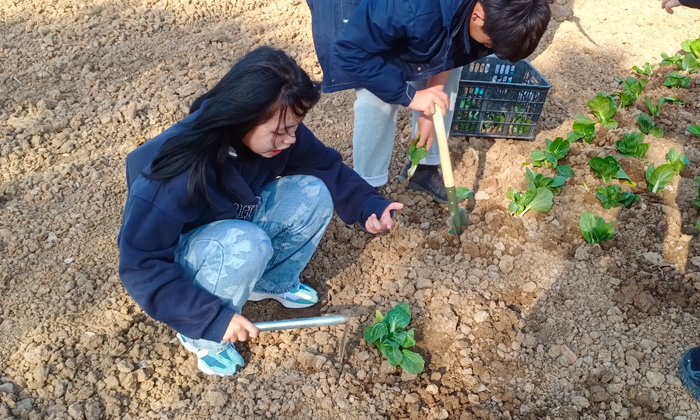 紅狼軍事夏令營