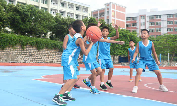 青少年籃球夏令營有哪些