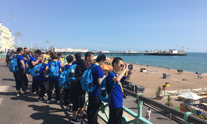 欣賞大海