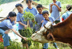 廣州青少年報(bào)名夏令營(yíng)需要注意什么？