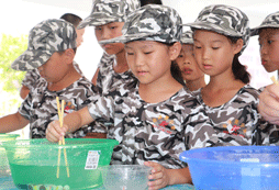 廣州市青少年夏令營需要多少錢？
