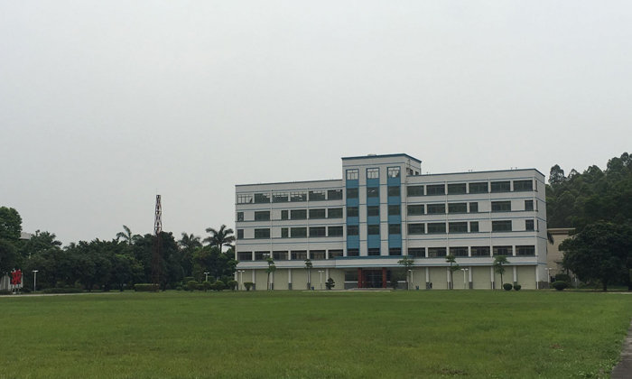 廣東軍事夏令營