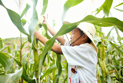 廣州冬令營去哪里報名，周邊活動路線推薦