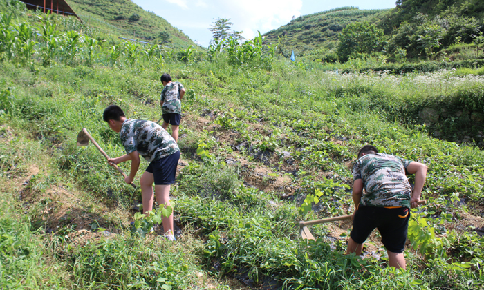 貴州小學(xué)生夏令營