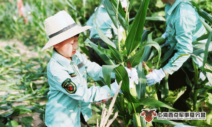 國(guó)內(nèi)夏令營(yíng)口碑好的品牌推薦