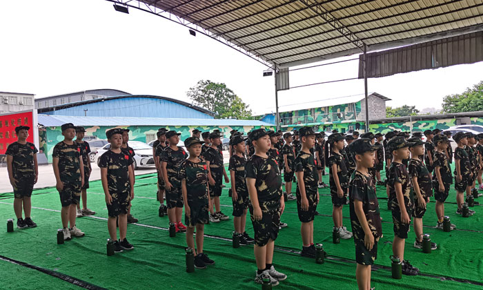 國內夏令營費用