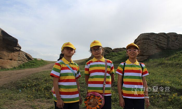 國內(nèi)游學(xué)夏令營