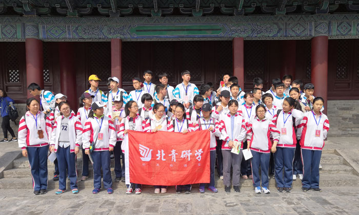 國內夏令營排行