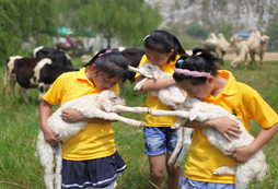 國內(nèi)夏令營給孩子一段受益終生的成長經(jīng)歷